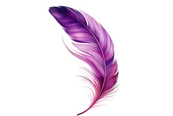 Feather Png Evaluation