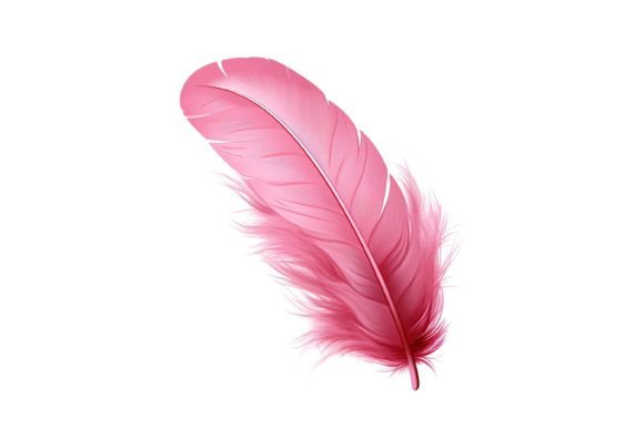Pink Feather Clipart: Creative Design Solutions